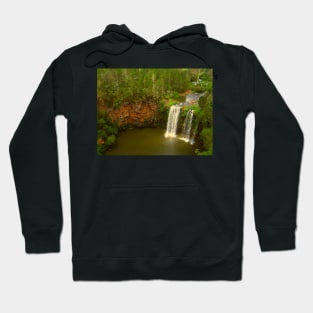 The Beauty Of Dangar Falls Hoodie